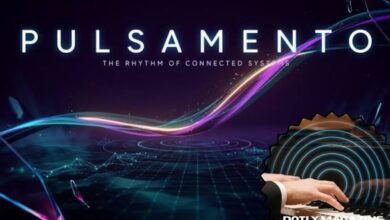 pulsamento