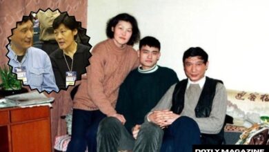 fang fengdi